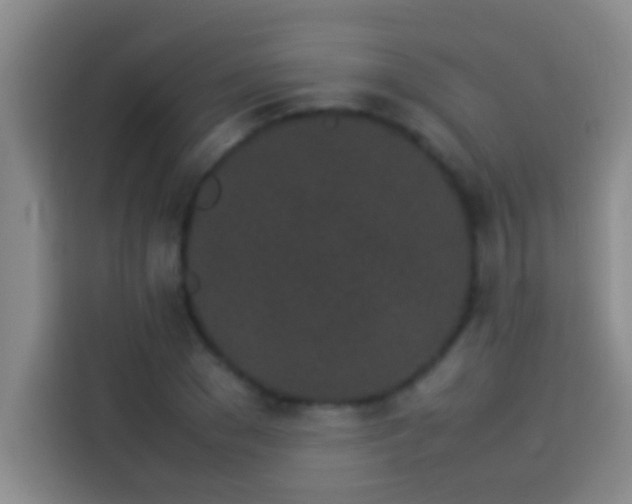 X0000113910977200910011445