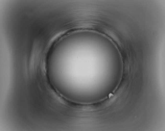 X0000113910979200910011445