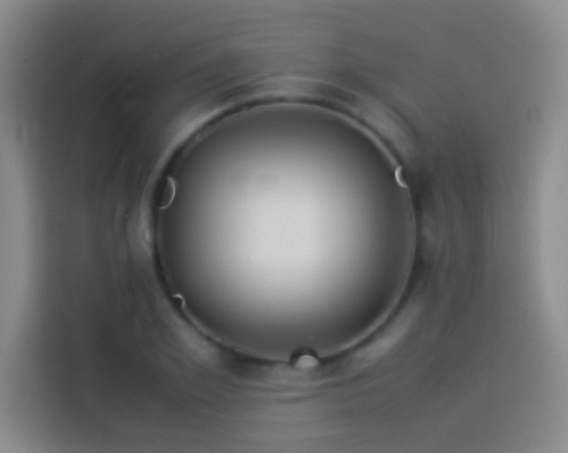 X0000113910981200910011445