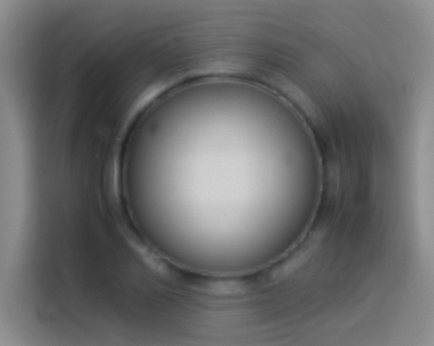 X0000113910982200910011445