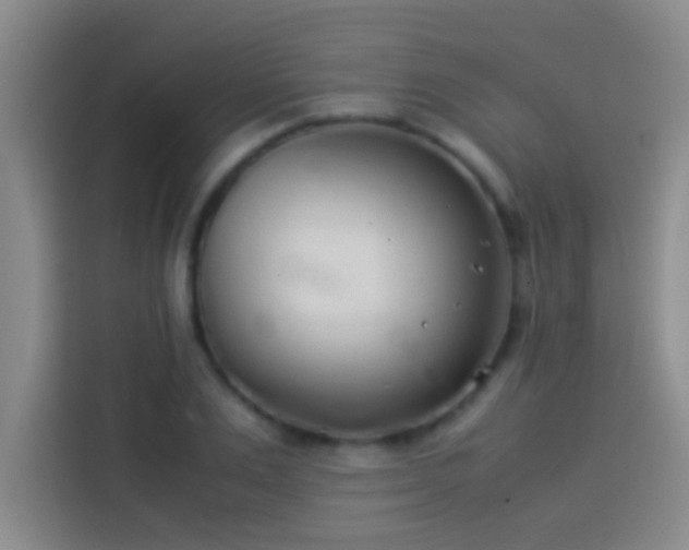 X0000113910983200910011445