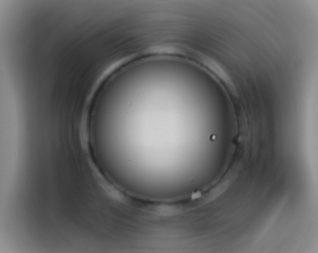 X0000113910984200910011445