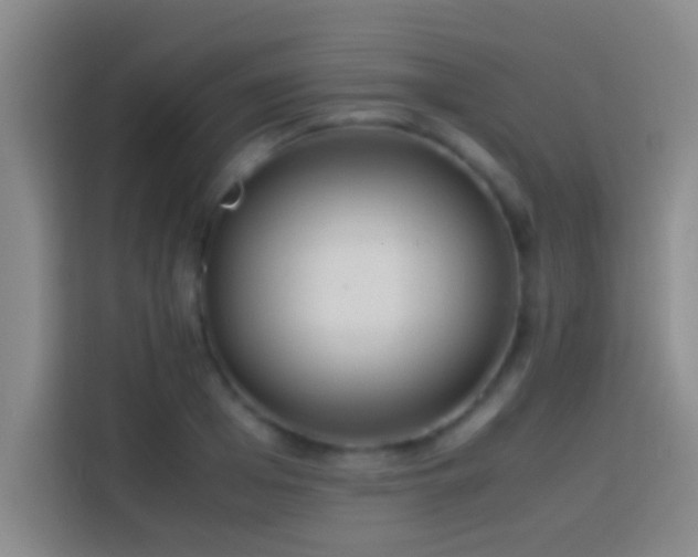 X0000113910985200910011445