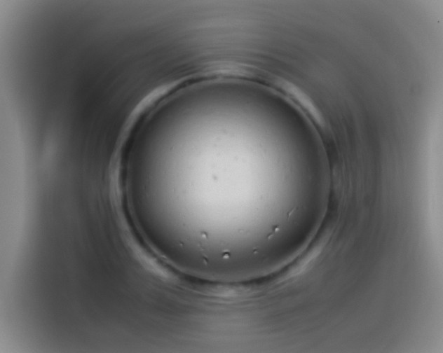 X0000113910987200910011445