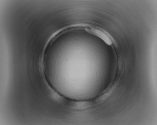 X0000113910988200910011445