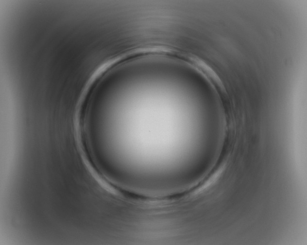 X0000113910989200910011445