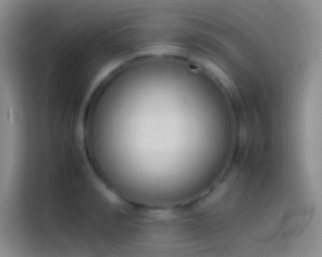 X0000113910990200910011445