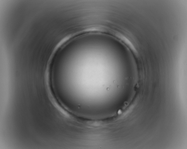 X0000113910991200910011445