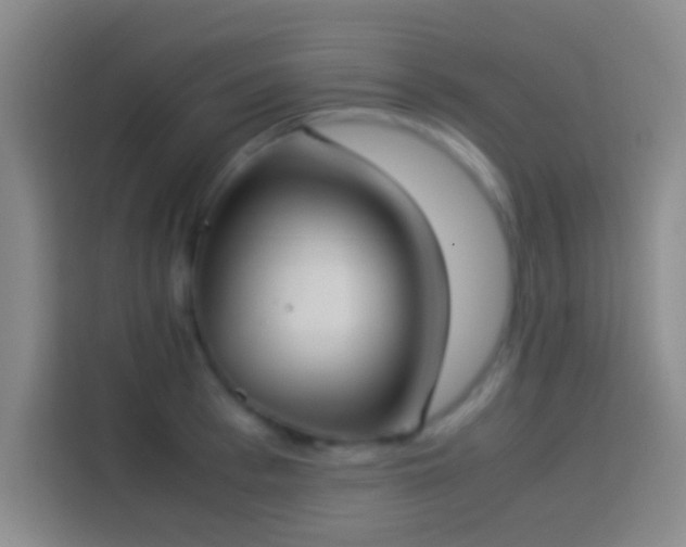 X0000113910993200910011445