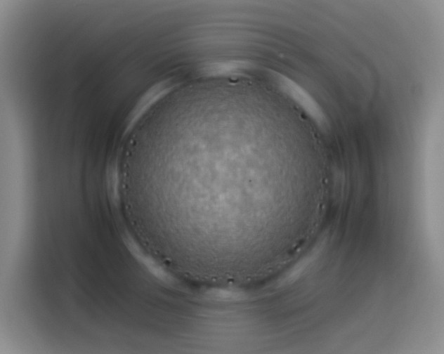 X0000113910994200910011445