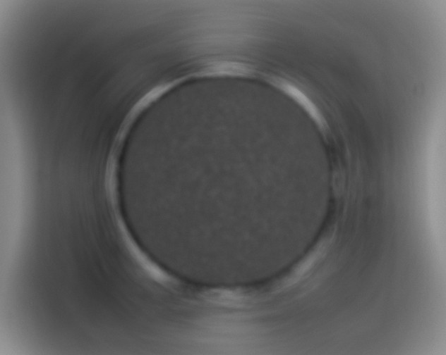 X0000113910995200910011445