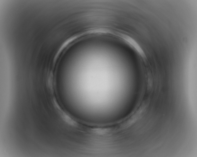 X0000113910996200910011445