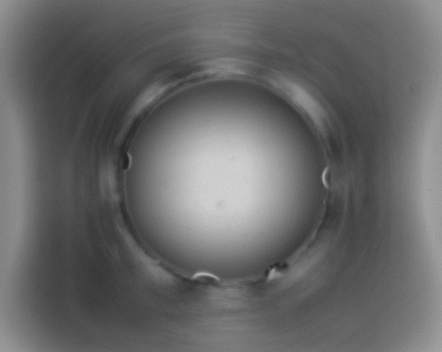 X0000113910997200910011445