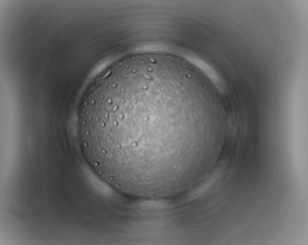 X0000113910998200910011445