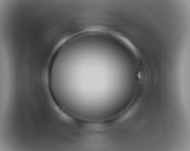 X0000113910999200910011445