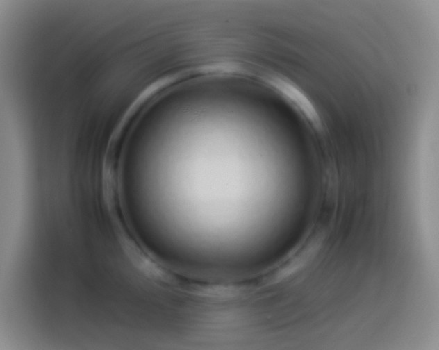 X0000113911000200910011445