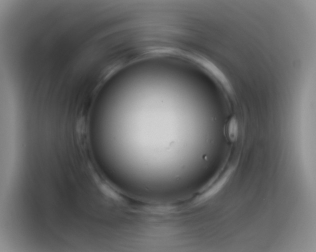 X0000113911001200910011445