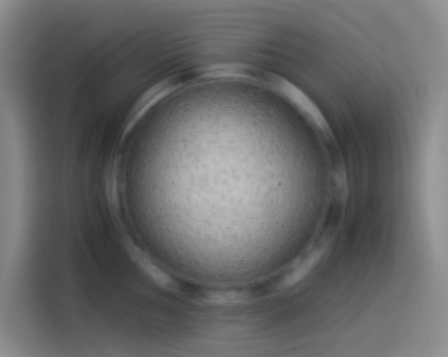 X0000113911002200910011445