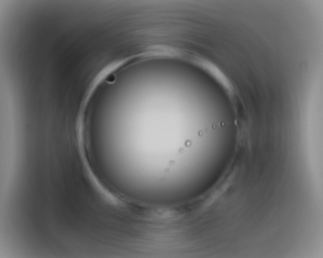 X0000113911003200910011445