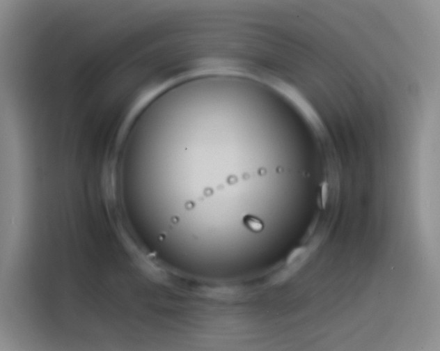 X0000113911004200910011445