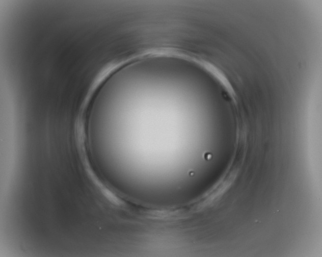 X0000113911005200910011445