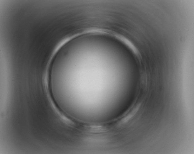 X0000113911007200910011445