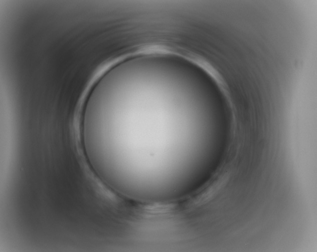 X0000113911008200910011445