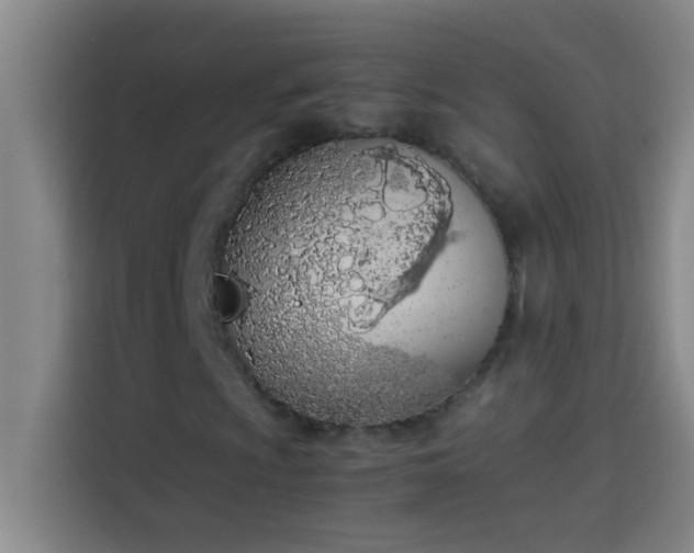 X0000113911009200910011444