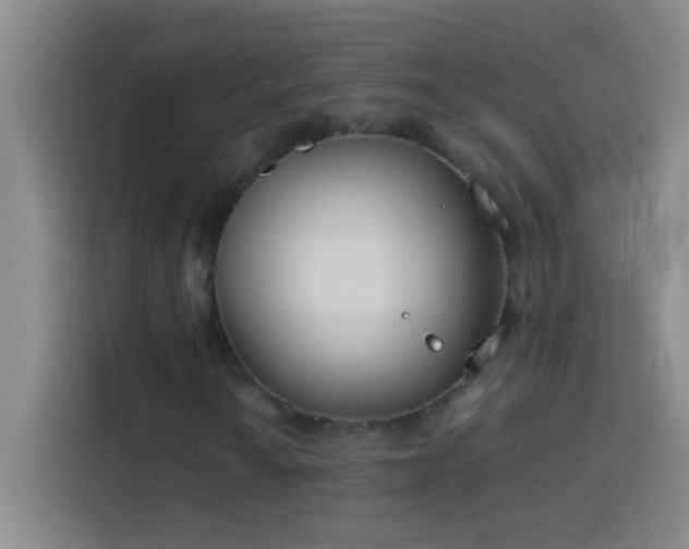 X0000113911010200910011444