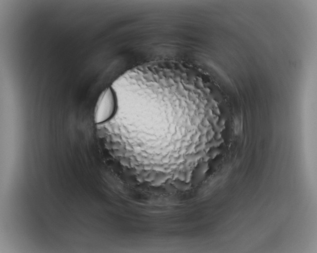 X0000113911011200910011444