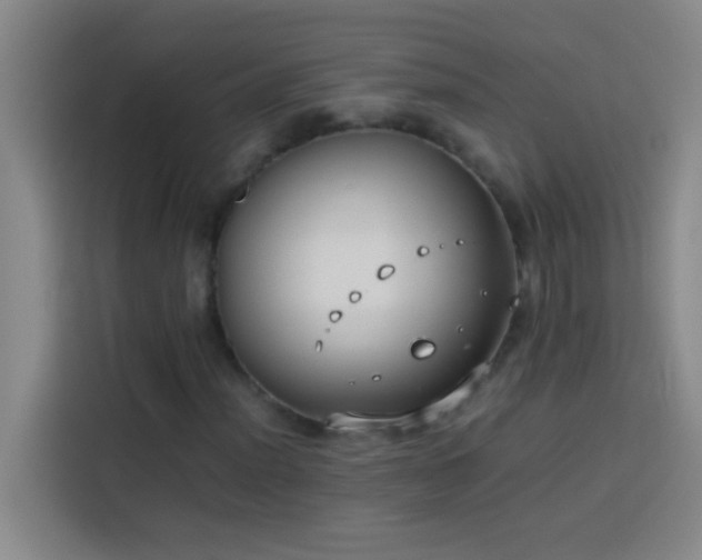 X0000113911012200910011444