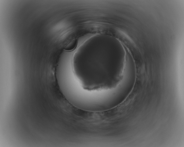 X0000113911013200910011444