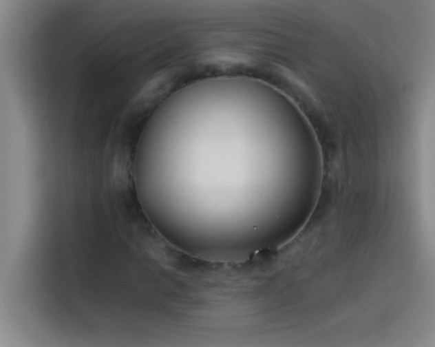 X0000113911014200910011444