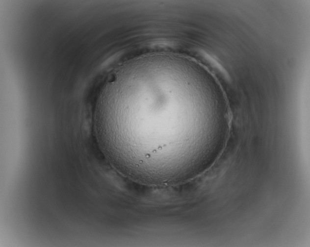 X0000113911015200910011444