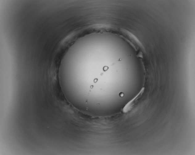 X0000113911016200910011444