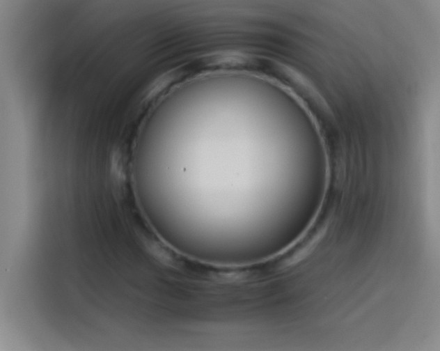 X0000113911017200910011444