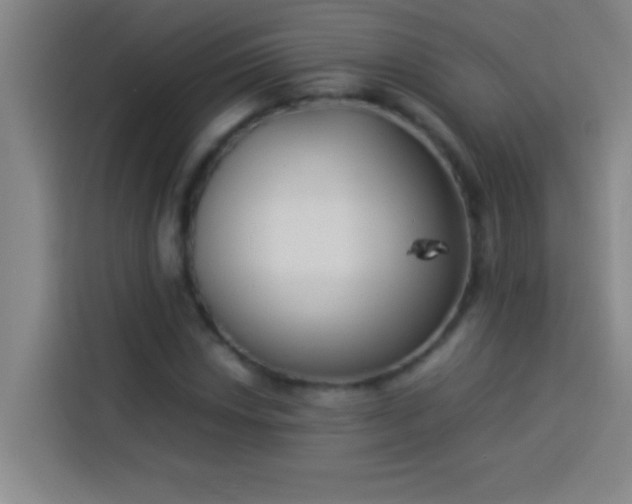 X0000113911018200910011444