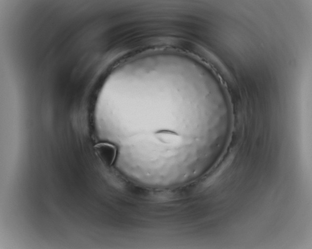 X0000113911019200910011444