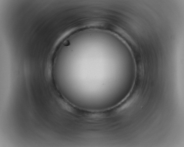 X0000113911021200910011444