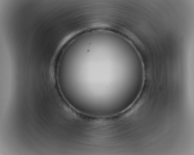 X0000113911022200910011444