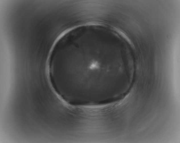 X0000113911024200910011444