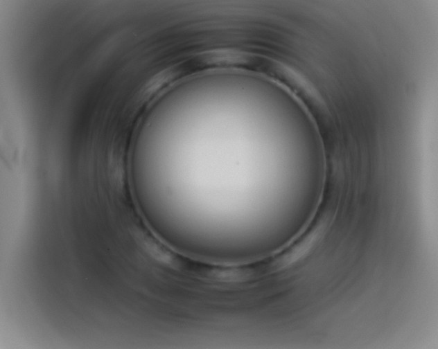 X0000113911025200910011444