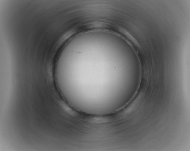 X0000113911026200910011444