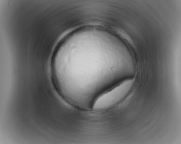 X0000113911028200910011444