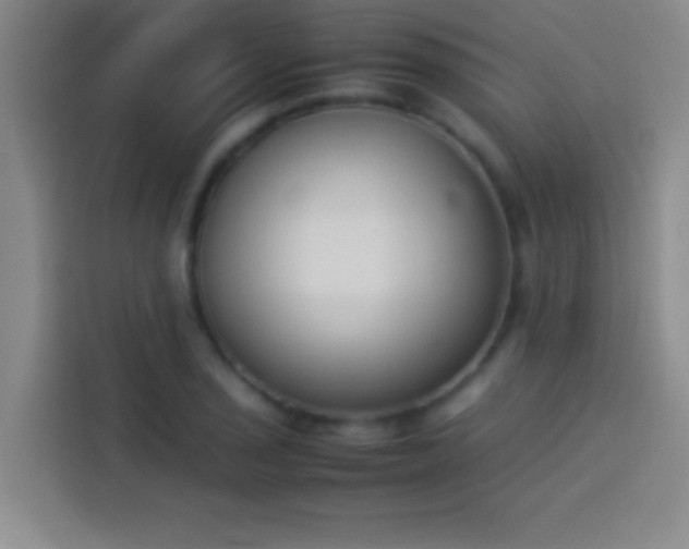 X0000113911029200910011444