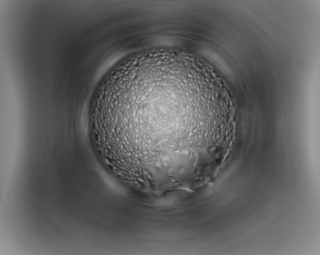 X0000113911031200910011445