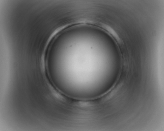 X0000113911032200910011445