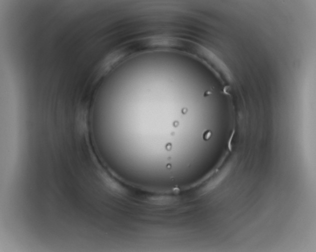 X0000113911033200910011445