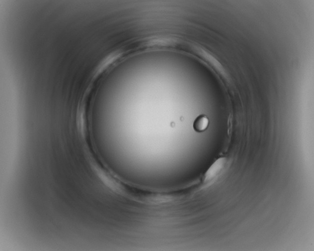 X0000113911034200910011445