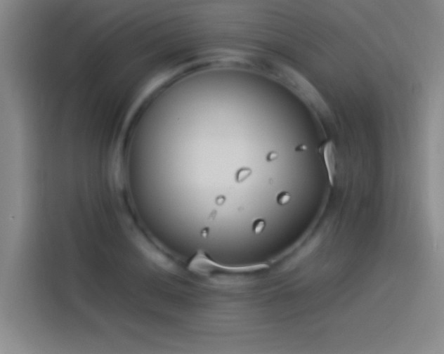 X0000113911036200910011445